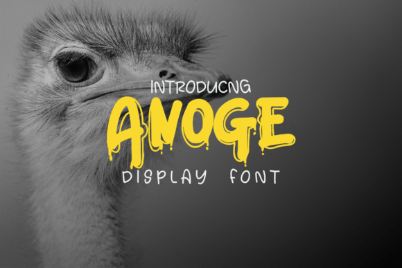 Anoge: The Graffiti Display Font for Scroll-Stopping Visuals