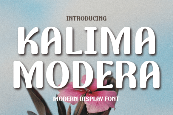 Kalima Modera: A Joyful Display Font for Creative Branding