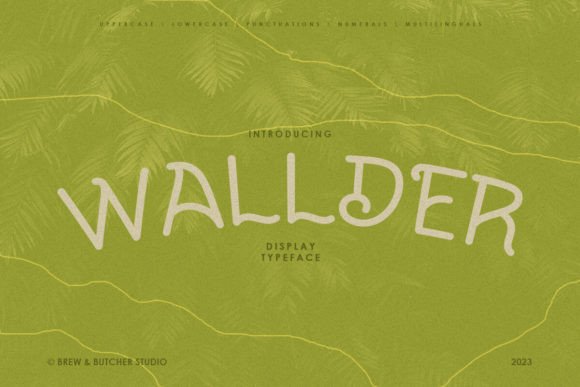 Wallder: A Unique Display Font for Modern Web Design